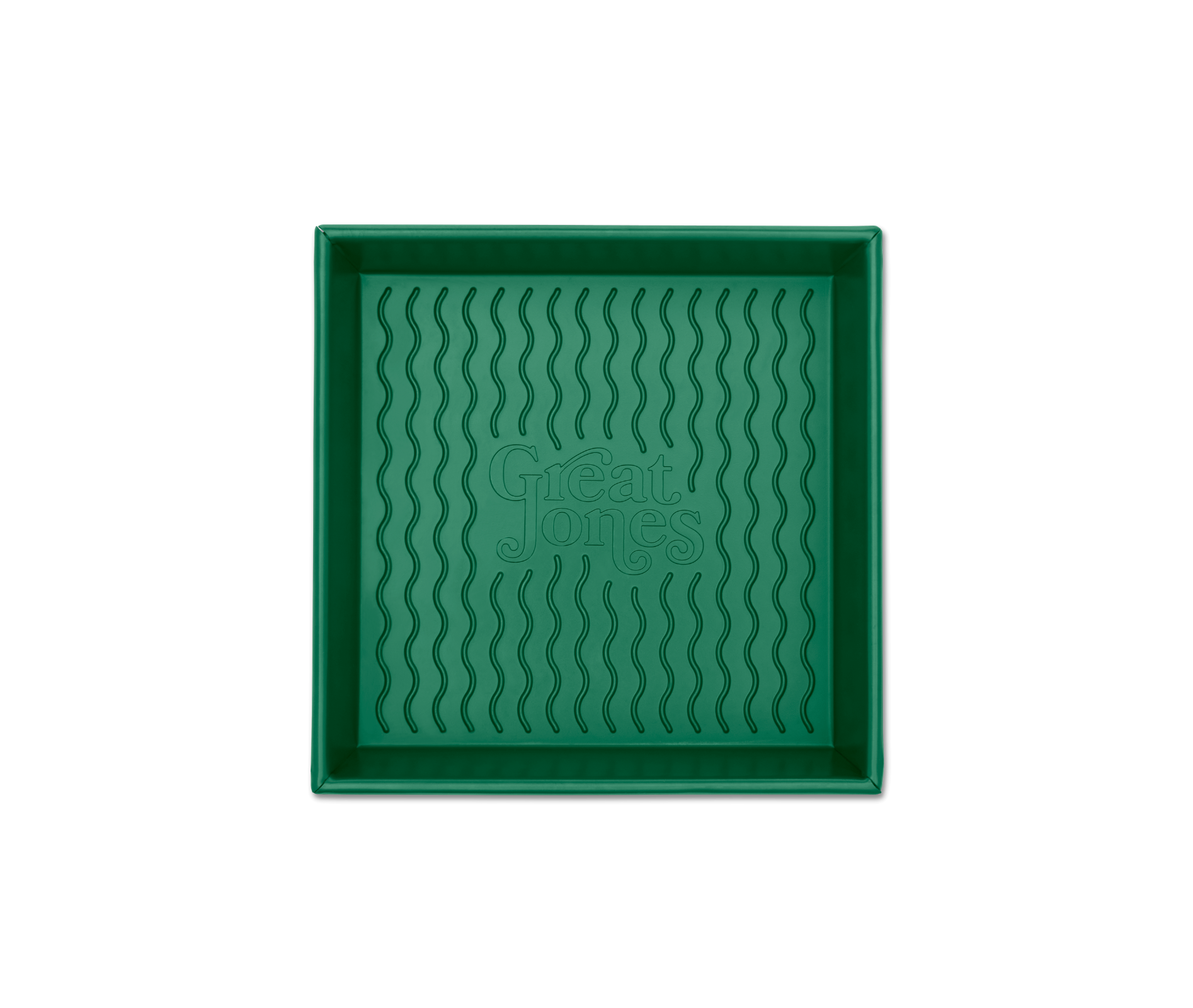 SquareOne_Broccoli_2.png